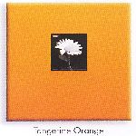 Pioneer Tangerine Orange Scrapbook